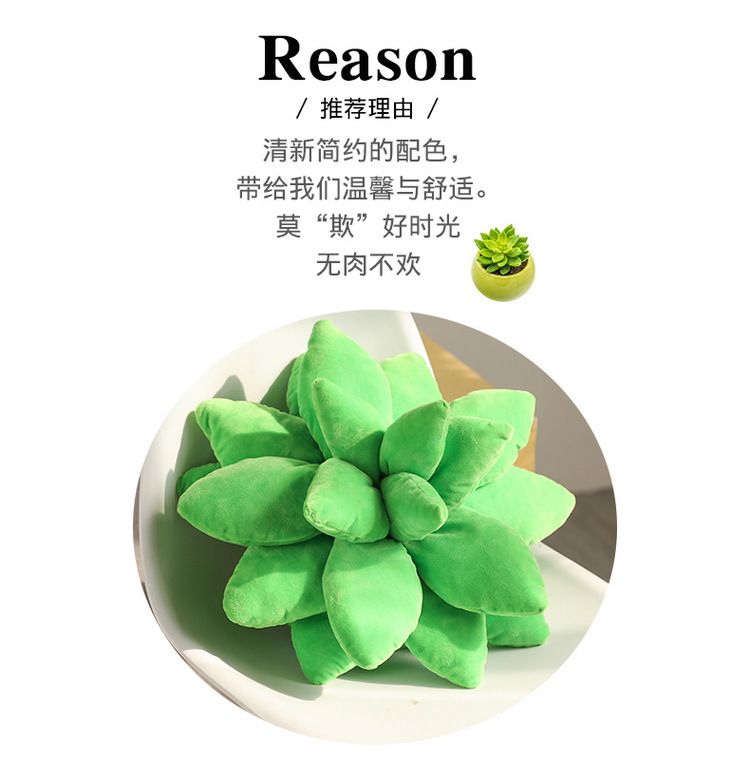 Artificial Plant Succulent Plush Doll Plush Toys Three-Dimensional Doll Pillow Sofa Girls Bed Pillows Wholesale Artificial Plant Succulent Plush Doll Plush Toys Three-Dimensional Doll Pillow Sofa Girls Bed Pillows Wholesale