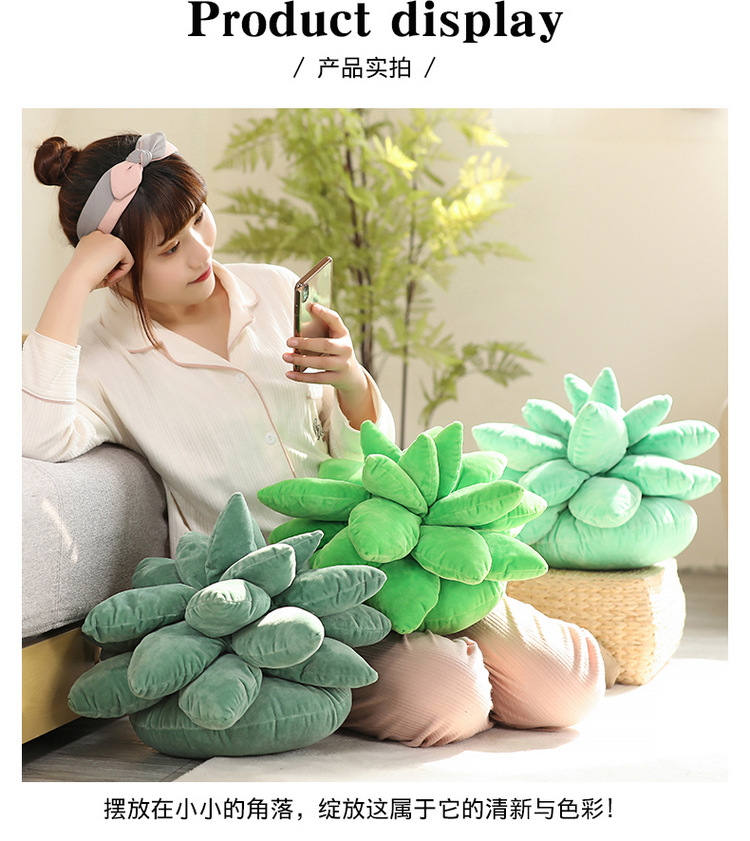 Artificial Plant Succulent Plush Doll Plush Toys Three-Dimensional Doll Pillow Sofa Girls Bed Pillows Wholesale Artificial Plant Succulent Plush Doll Plush Toys Three-Dimensional Doll Pillow Sofa Girls Bed Pillows Wholesale