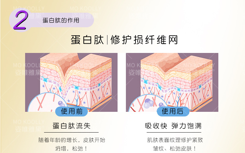 Wholesale Hyaluronic Acid Protein Peptide Firming Facial Skin Care Products Moisturizing Firming Lotion Moisturizing Lotion Eye Cream