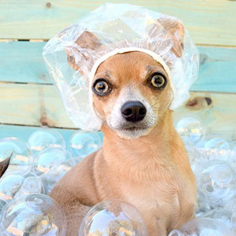 Plastic waterproof disposable shower cap, oil treatment cap, hair dye cap, shampoo shower cap bar