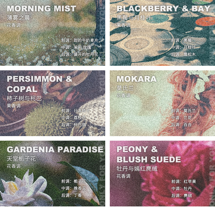American New Generation Brand 18 Kinds of Fragrance Fragrance Soy Wax Coconut Wax Aromatherapy Candle Fragrance Sample Cup Gift American New Generation Brand 18 Kinds of Fragrance Fragrance Soy Wax Coconut Wax Aromatherapy Candle Fragrance Sample Cup Gift