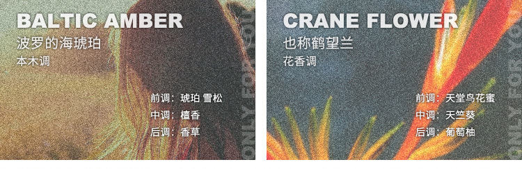 American New Generation Brand 18 Kinds of Fragrance Fragrance Soy Wax Coconut Wax Aromatherapy Candle Fragrance Sample Cup Gift American New Generation Brand 18 Kinds of Fragrance Fragrance Soy Wax Coconut Wax Aromatherapy Candle Fragrance Sample Cup Gift
