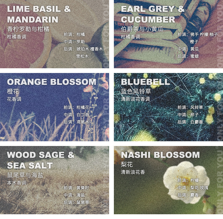 American New Generation Brand 18 Kinds of Fragrance Fragrance Soy Wax Coconut Wax Aromatherapy Candle Fragrance Sample Cup Gift American New Generation Brand 18 Kinds of Fragrance Fragrance Soy Wax Coconut Wax Aromatherapy Candle Fragrance Sample Cup Gift