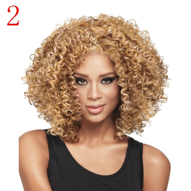 Cross-Border Hot Selling Popular African Black Wigs with Small Curly Hair Foreign Trade European and American Women's Wig