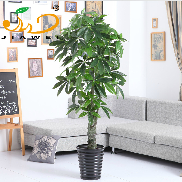 Simulation of spiral lucky money tree plants