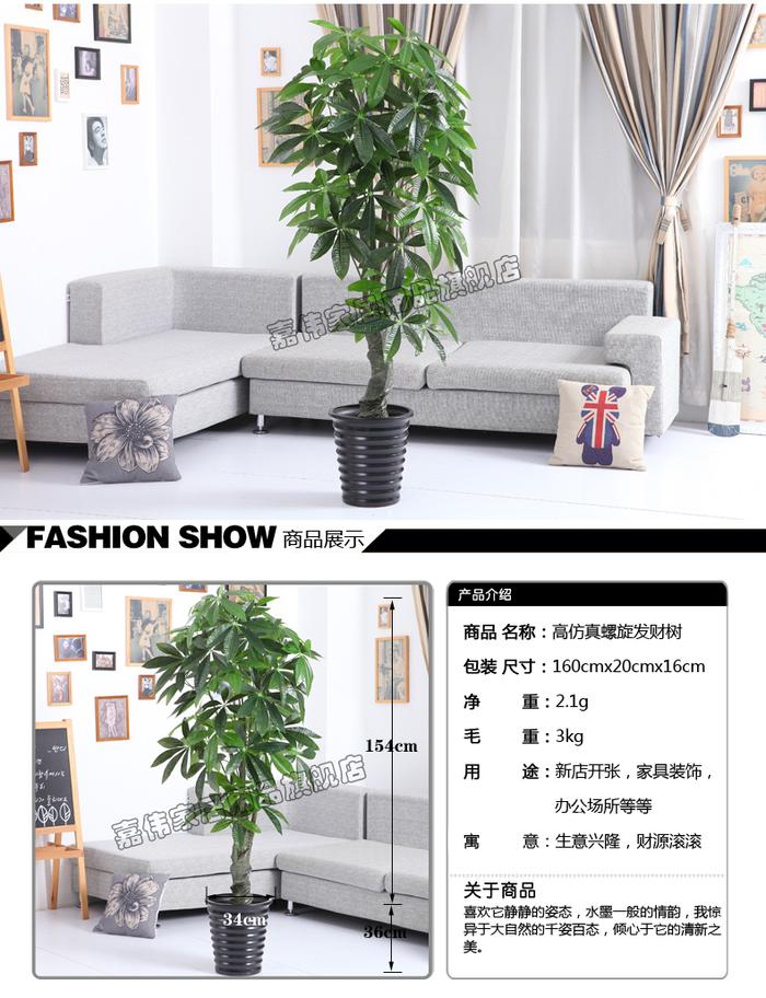 Simulation of spiral lucky money tree plants