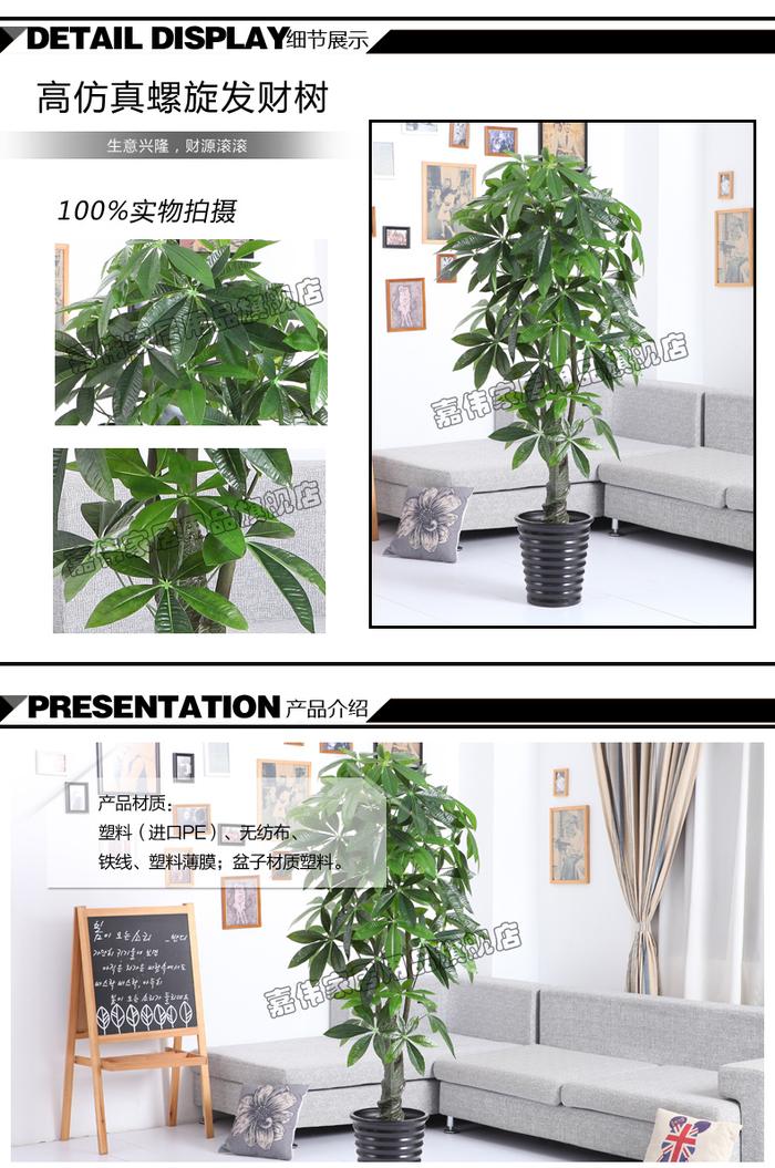 Simulation of spiral lucky money tree plants