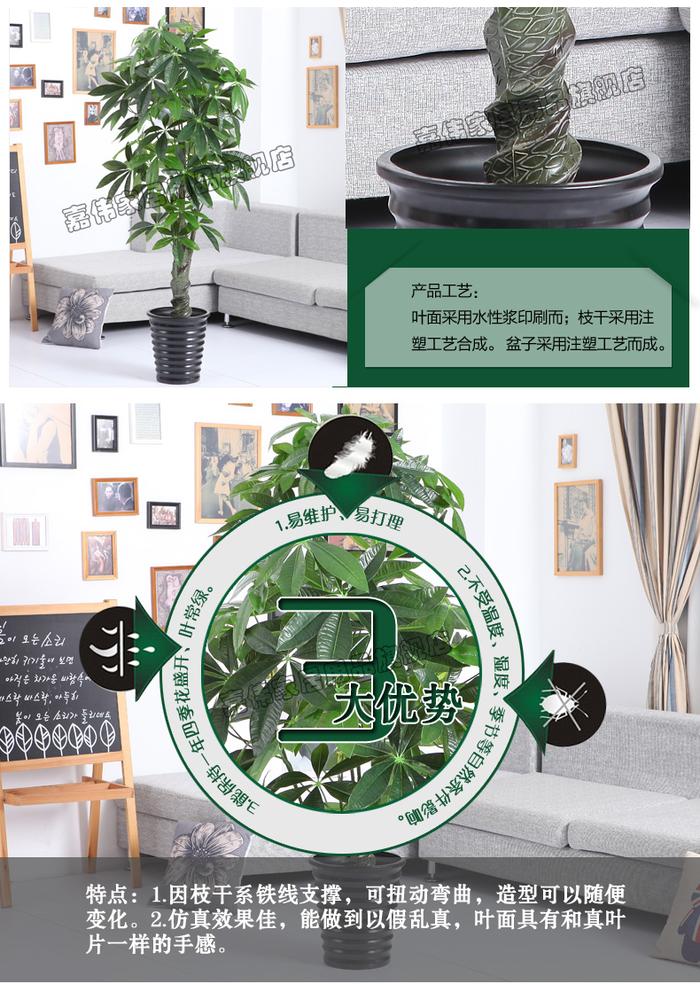 Simulation of spiral lucky money tree plants