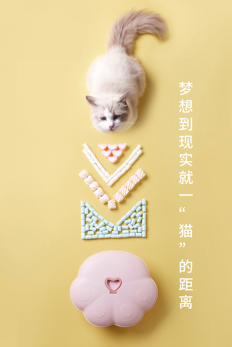 Small Kit Macaron Dried Fruit Tray Dried Fruit Box with Lid Candy Box Living Room Coffee Table Seed Box Snack Dish Candy Plate