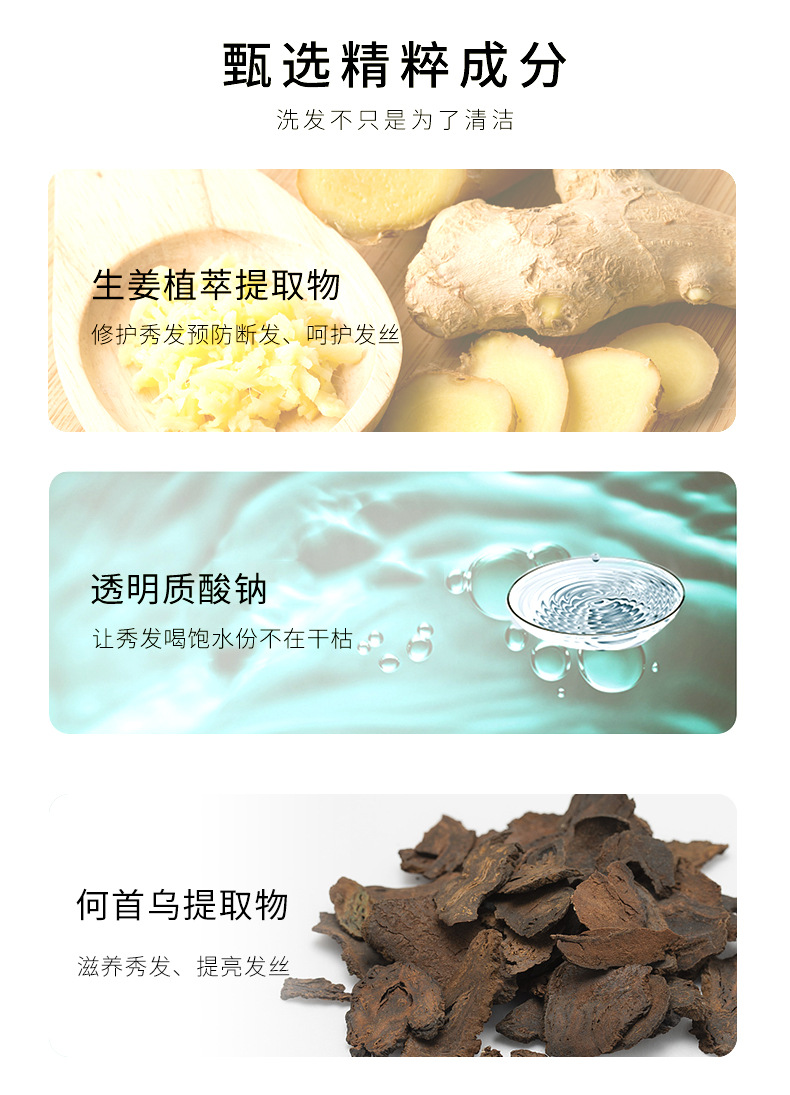 Wholesale Zhenyimei Ginger Anti-Mite Shampoo Set French Fragrance Gold Caviar Shower Gel Wash Nursing Suite Wholesale Zhenyimei Ginger Anti-Mite Shampoo Set French Fragrance Gold Caviar Shower Gel Wash Nursing Suite