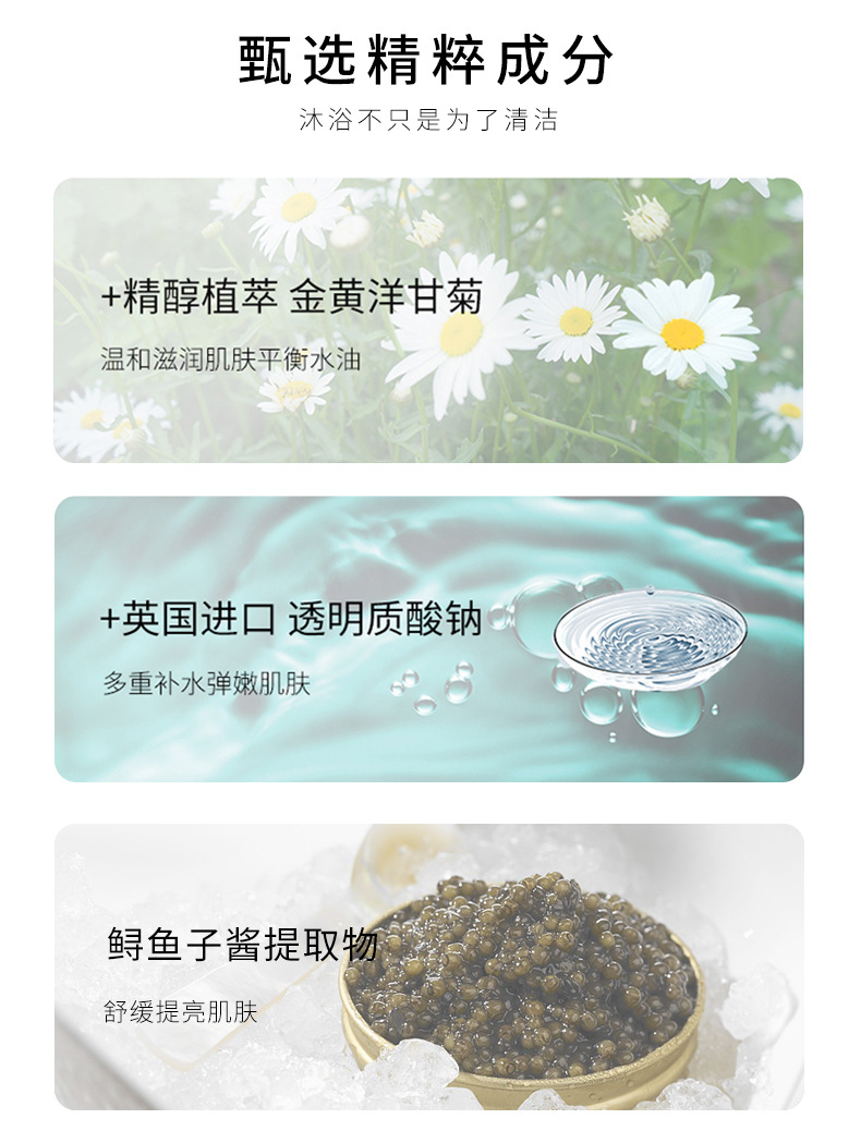Wholesale Zhenyimei Ginger Anti-Mite Shampoo Set French Fragrance Gold Caviar Shower Gel Wash Nursing Suite Wholesale Zhenyimei Ginger Anti-Mite Shampoo Set French Fragrance Gold Caviar Shower Gel Wash Nursing Suite