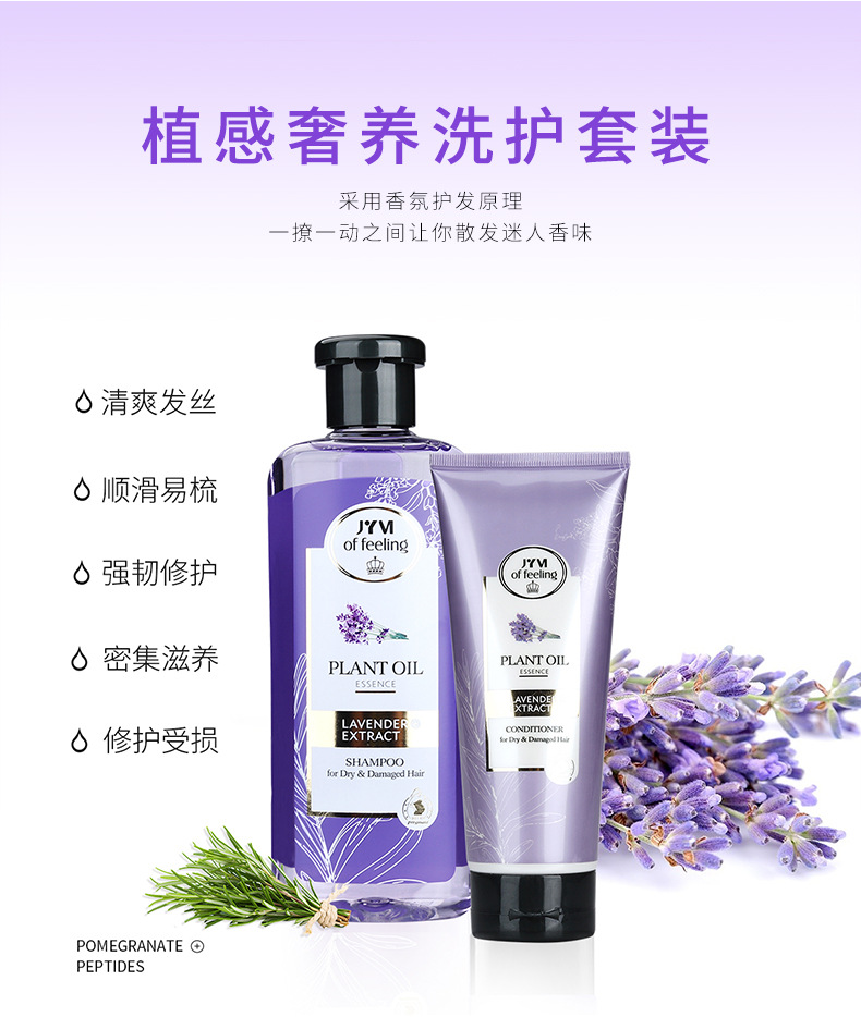 Wholesale Zhenyimei Ginger Anti-Mite Shampoo Set French Fragrance Gold Caviar Shower Gel Wash Nursing Suite Wholesale Zhenyimei Ginger Anti-Mite Shampoo Set French Fragrance Gold Caviar Shower Gel Wash Nursing Suite