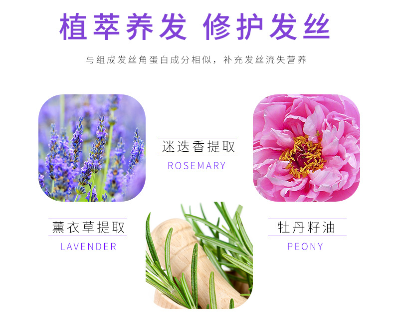 Wholesale Zhenyimei Ginger Anti-Mite Shampoo Set French Fragrance Gold Caviar Shower Gel Wash Nursing Suite Wholesale Zhenyimei Ginger Anti-Mite Shampoo Set French Fragrance Gold Caviar Shower Gel Wash Nursing Suite