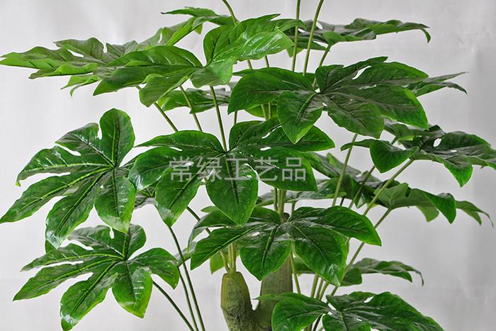 Artificial plants feel ancient Fatsia japonica tree artificial tree crafts