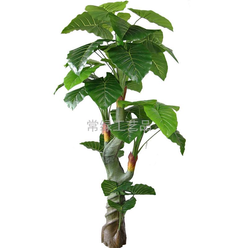 Plant simulation feel is dripping water Guanyin fake tree artificial tree Silver Dragon crafts