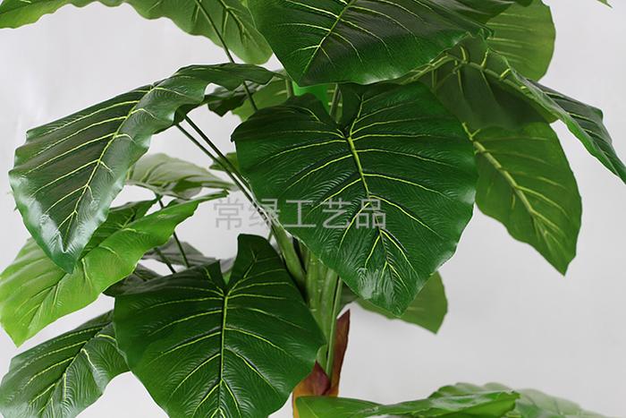 Plant simulation feel is dripping water Guanyin fake tree artificial tree Silver Dragon crafts