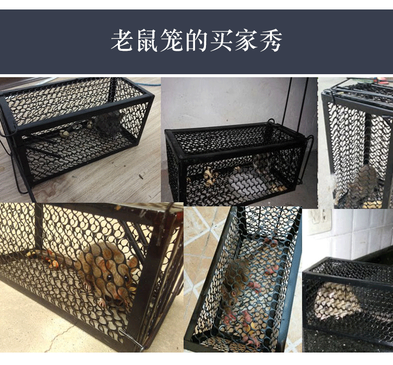 Factory Direct Supply Small Size Mouse Cage Household Rat Trap Mousetrap Rat Trap Cage 11*24 Multiple Specifications