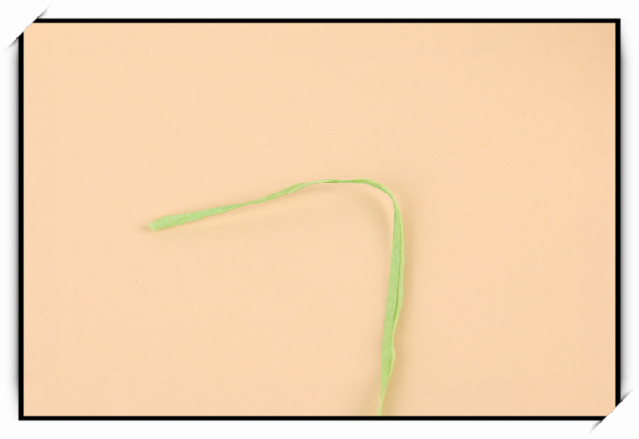 Manufacturer direct shot color paper rope adhesive painting diy manual materials hanging decorative rope has Manufacturer direct shot color paper rope adhesive painting diy manual materials hanging decorative rope has