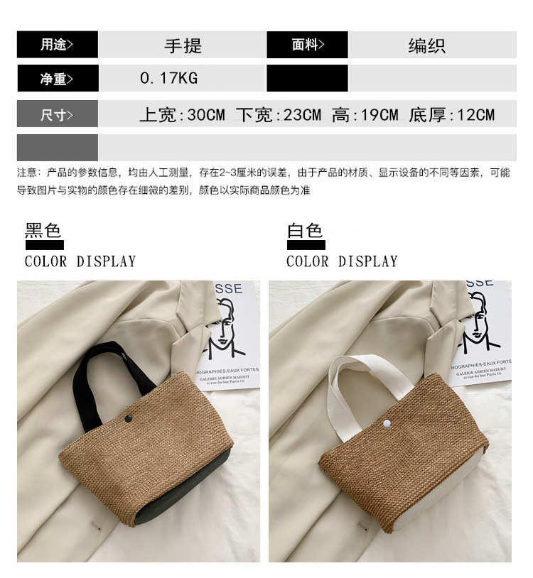 New Internet Celebrity Seaside Summer Beach Holiday Fashion Imitation Straw Woven Bag Retro Handbag Straw Bag Women