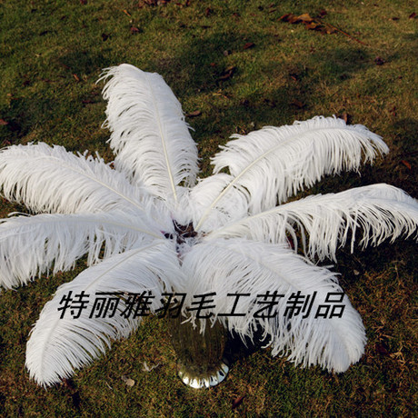 Factory Supply Imported Colored Ostrich Hair Feather Craft-65cm