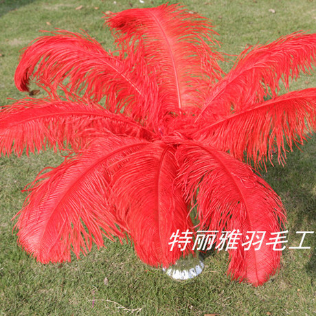 Factory Supply Imported Colored Ostrich Hair Feather Craft-65cm