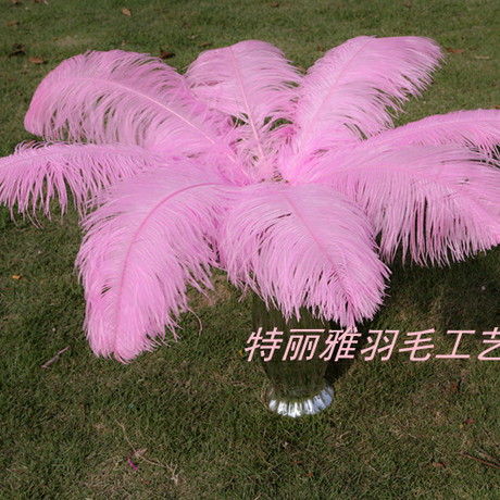 Factory Supply Imported Colored Ostrich Hair Feather Craft-65cm
