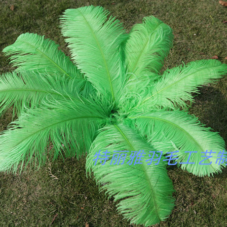 Factory Supply Imported Colored Ostrich Hair Feather Craft-65cm