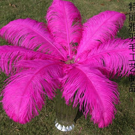 Factory Supply Imported Colored Ostrich Hair Feather Craft-65cm