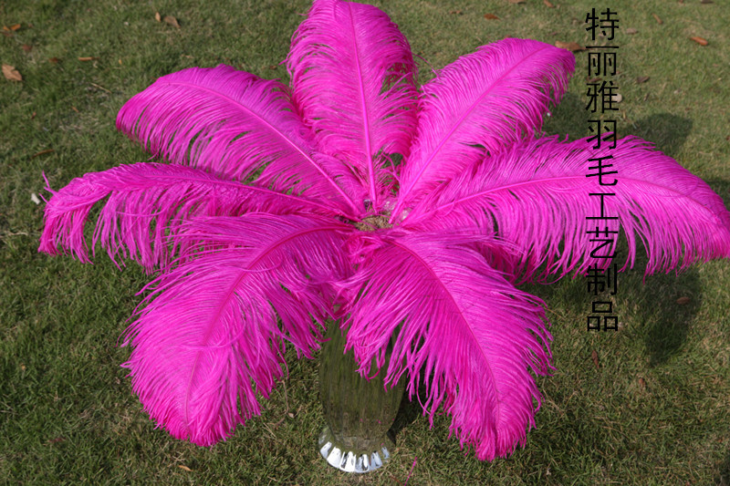 Factory Supply Imported Colored Ostrich Hair Feather Craft-65cm