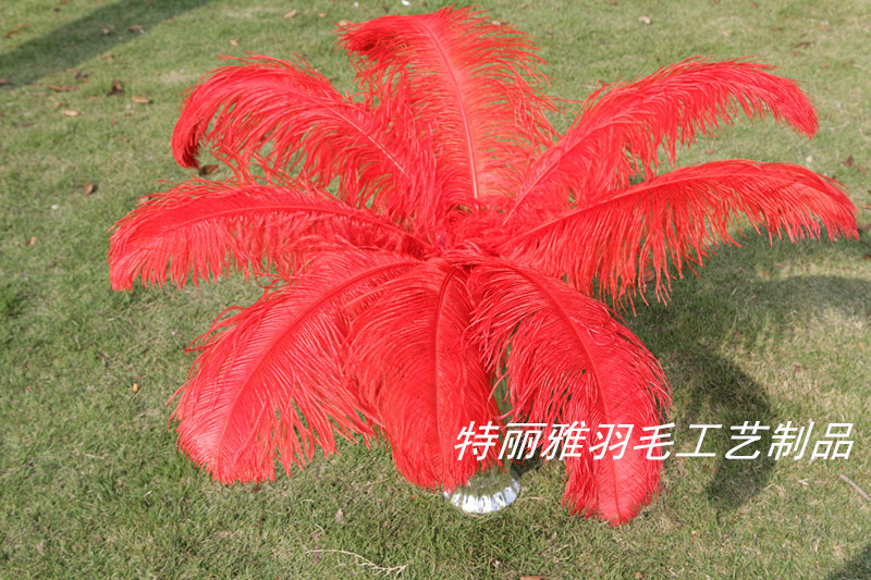 Factory Supply Imported Colored Ostrich Hair Feather Craft-65cm