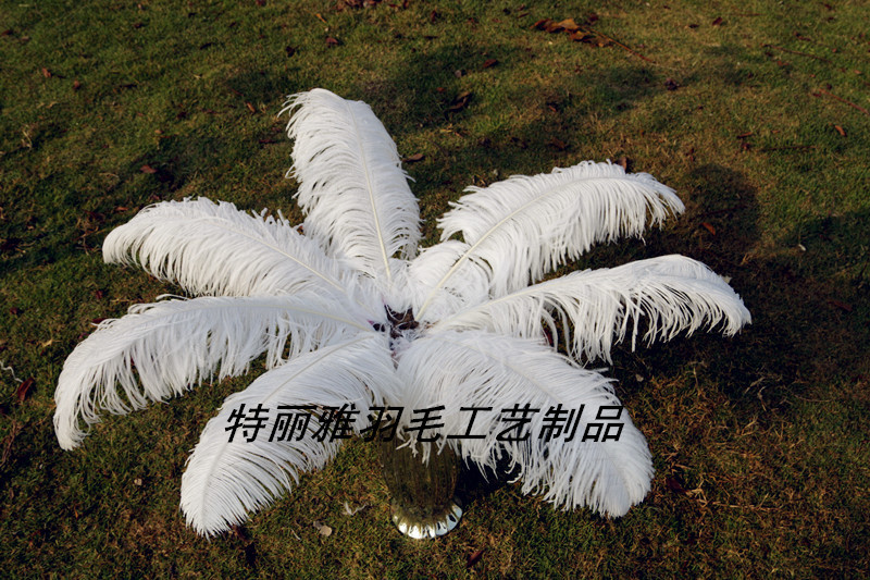 Factory Supply Imported Colored Ostrich Hair Feather Craft-65cm