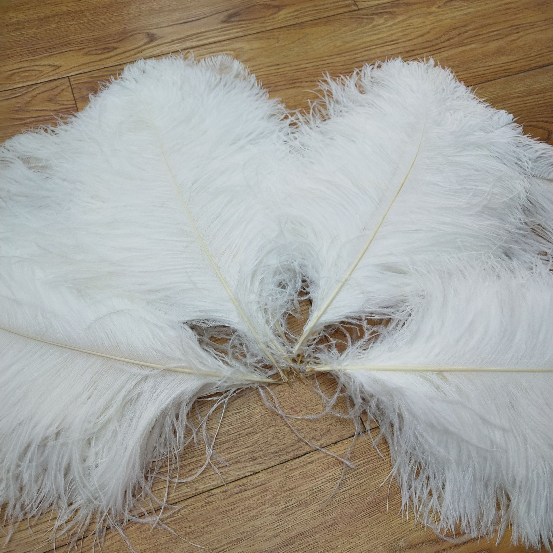 Select 40-45 cm ostrich hair spot wedding decoration stage performance clothing accessories colorful feathers