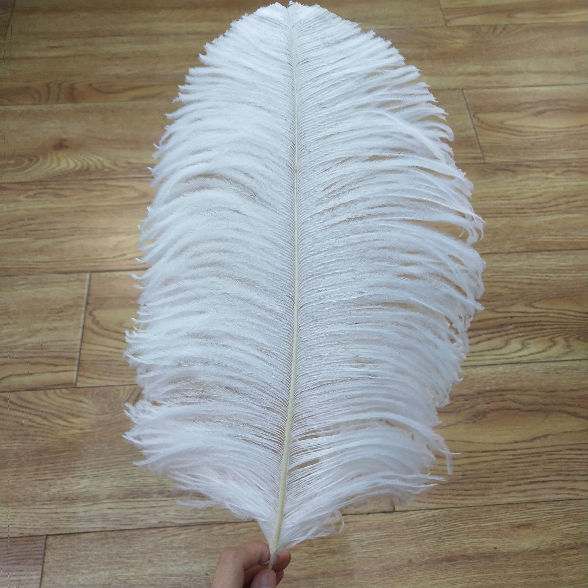 Select 40-45 cm ostrich hair spot wedding decoration stage performance clothing accessories colorful feathers