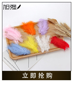 Manufacturer direct sale 13-15 cm bird hair silk plus cloth edge ostrich hair silk lace ostrich hair plus ribbon 2-150