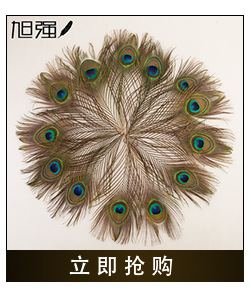 Manufacturer direct sale 13-15 cm bird hair silk plus cloth edge ostrich hair silk lace ostrich hair plus ribbon 2-150