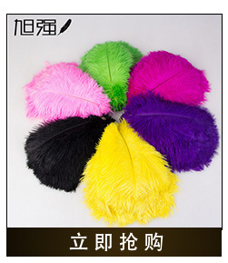 Manufacturer direct sale 13-15 cm bird hair silk plus cloth edge ostrich hair silk lace ostrich hair plus ribbon 2-150