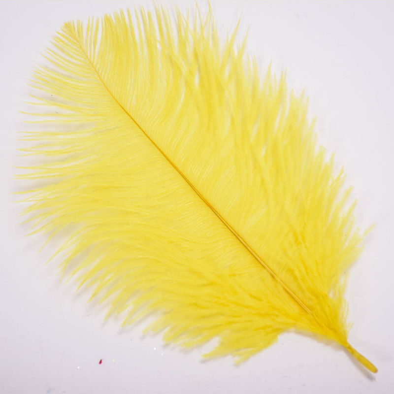 The wedding table flower decoration in The window of Natural Ostrich Feather Hotel in South Africa can be dyed Ostrich hair wholesale 15-20cm