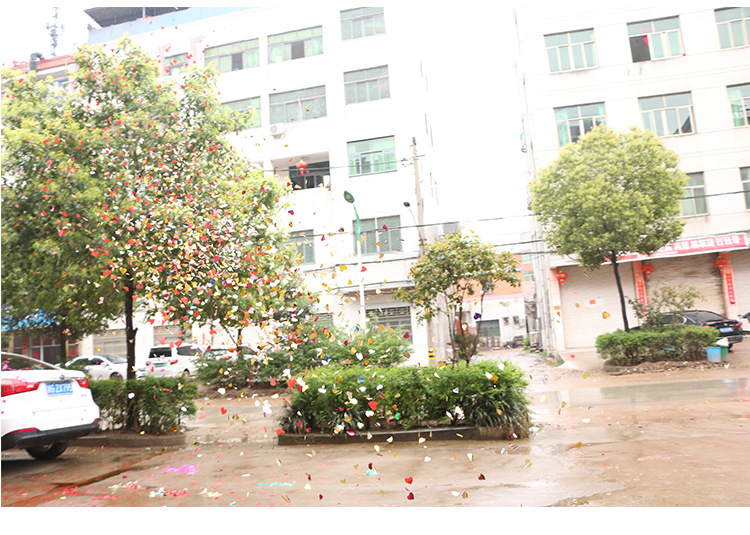 Factory Wholesale Opening Ceremony Wedding Supplies Start Salute 80cm Hand-Held Petal Rain Wedding Salute Fireworks Display Factory Wholesale Opening Ceremony Wedding Supplies Start Salute 80cm Hand-Held Petal Rain Wedding Salute Fireworks Display