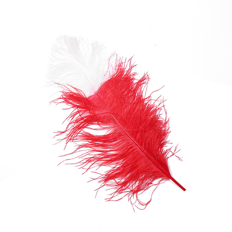 Dream Color Macaron Color Series DIY Bouquet Garland Decoration Wing Feather Tie-Dyed Two-Color Ostrich Hair 55-60cm
