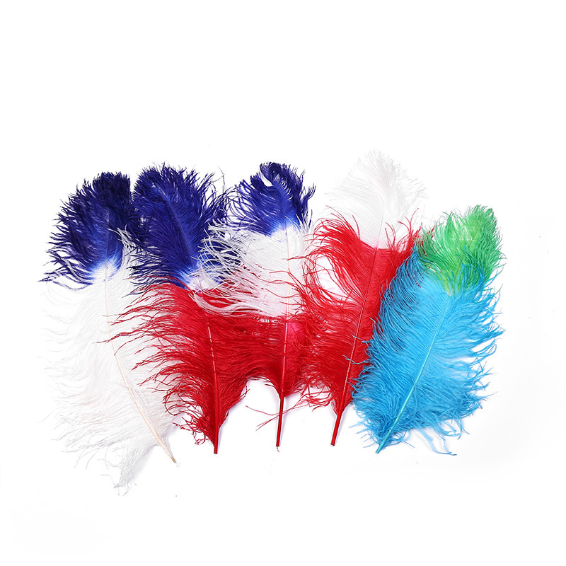Dream Color Macaron Color Series DIY Bouquet Garland Decoration Wing Feather Tie-Dyed Two-Color Ostrich Hair 55-60cm