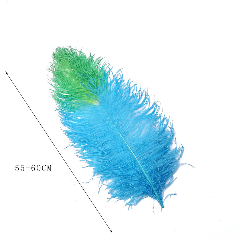 Dream Color Macaron Color Series DIY Bouquet Garland Decoration Wing Feather Tie-Dyed Two-Color Ostrich Hair 55-60cm