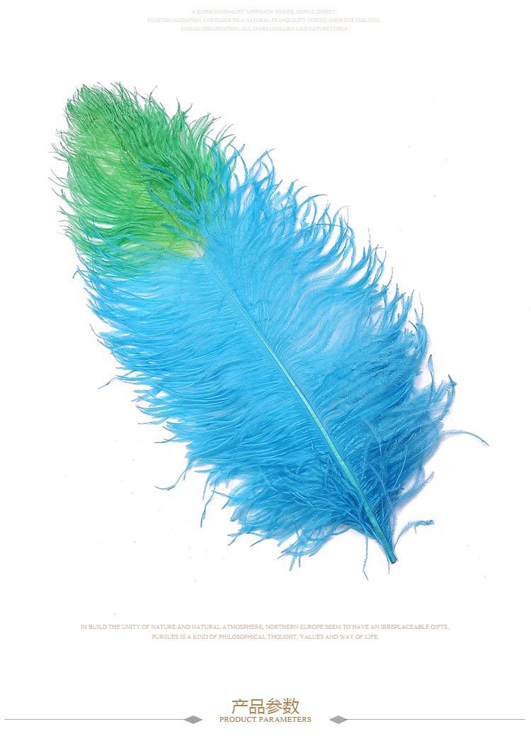 Dream Color Macaron Color Series DIY Bouquet Garland Decoration Wing Feather Tie-Dyed Two-Color Ostrich Hair 55-60cm