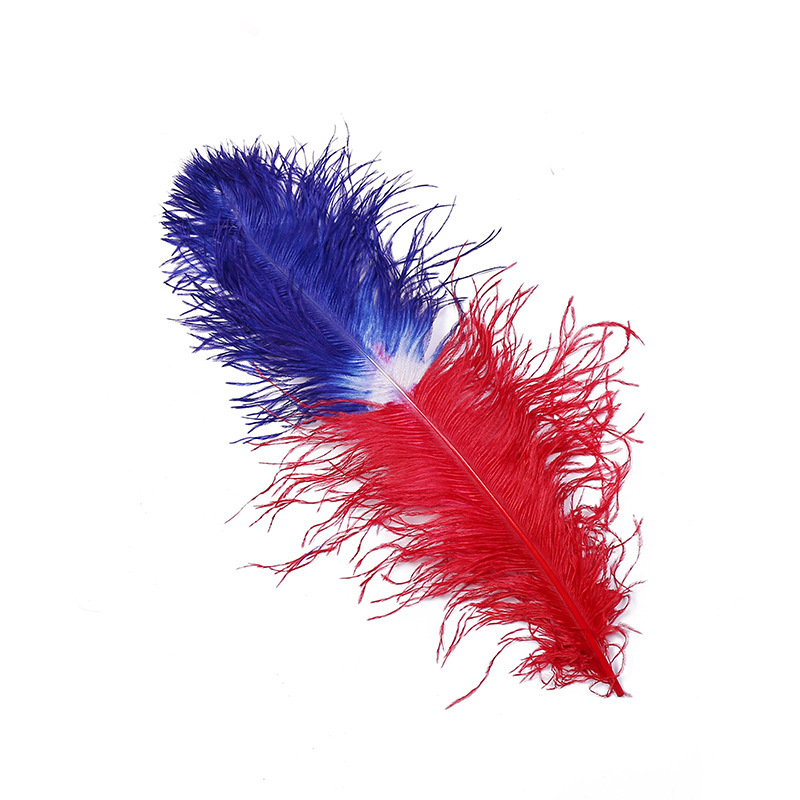 Dream Color Macaron Color Series DIY Bouquet Garland Decoration Wing Feather Tie-Dyed Two-Color Ostrich Hair 55-60cm