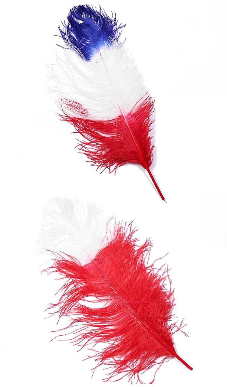 Dream Color Macaron Color Series DIY Bouquet Garland Decoration Wing Feather Tie-Dyed Two-Color Ostrich Hair 55-60cm