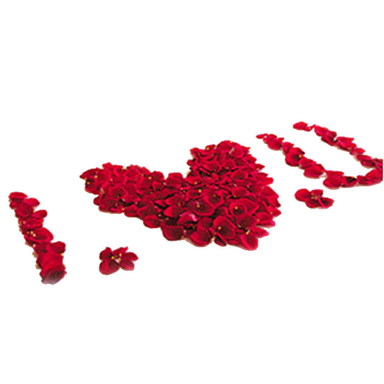Room Atmosphere Layout Sprinkling Flowers Hand Throwing Flowers Artificial Rose Fake Petals Silk Flowers Wedding Petal