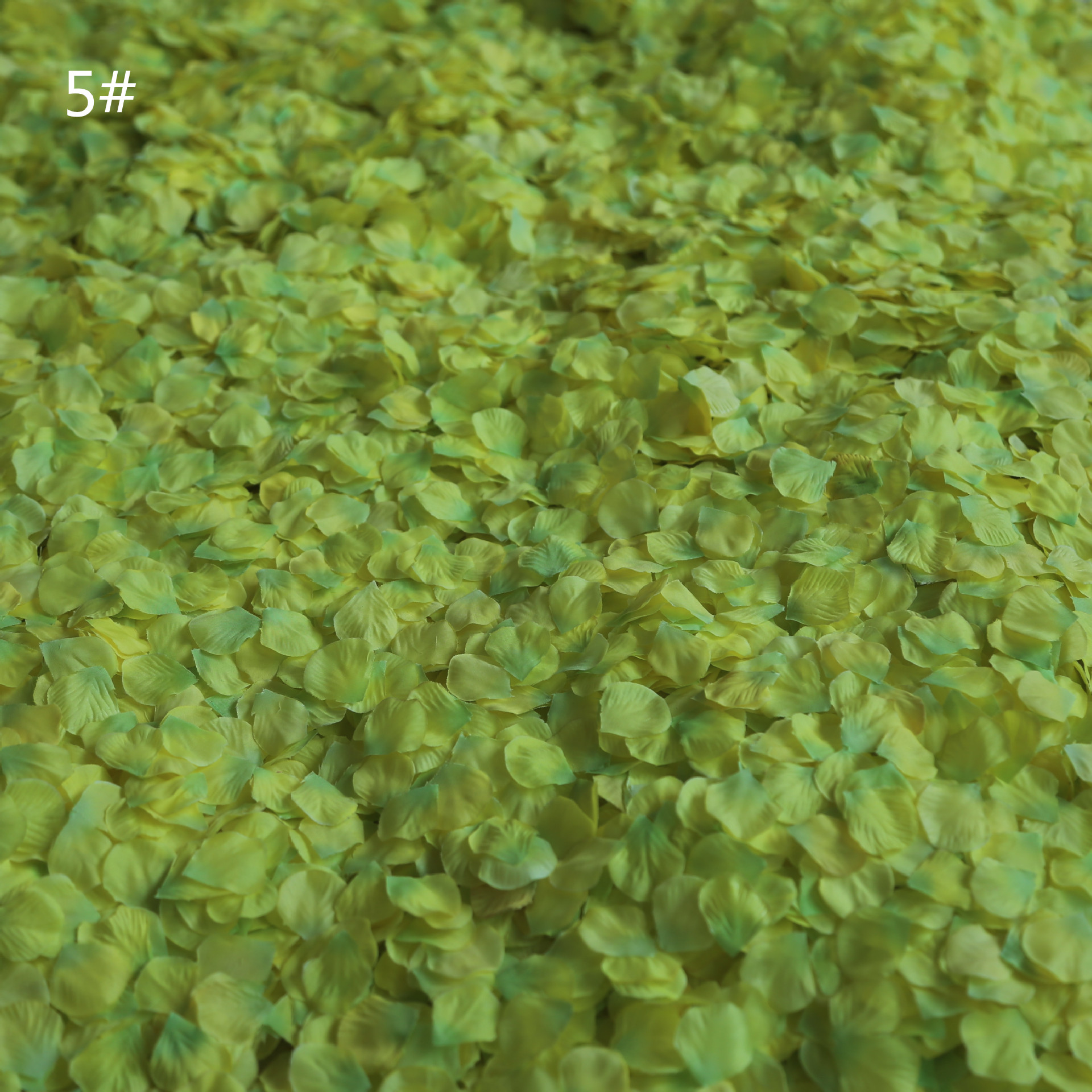 Room Layout Hand Throwing Flower Stage Sprinkling Flowers Petal Rain Small Broken Petals 300 Pieces Wedding Petal Room Layout Hand Throwing Flower Stage Sprinkling Flowers Petal Rain Small Broken Petals 300 Pieces Wedding Petal