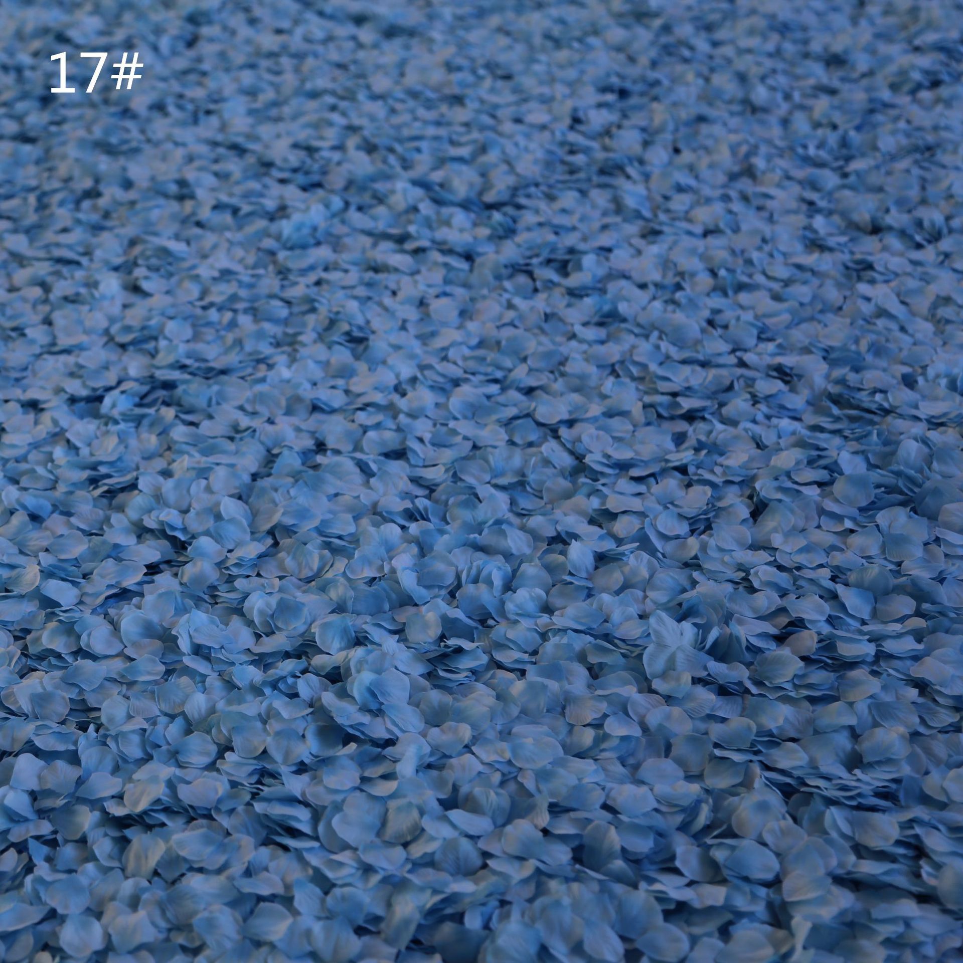 Room Layout Hand Throwing Flower Stage Sprinkling Flowers Petal Rain Small Broken Petals 300 Pieces Wedding Petal Room Layout Hand Throwing Flower Stage Sprinkling Flowers Petal Rain Small Broken Petals 300 Pieces Wedding Petal