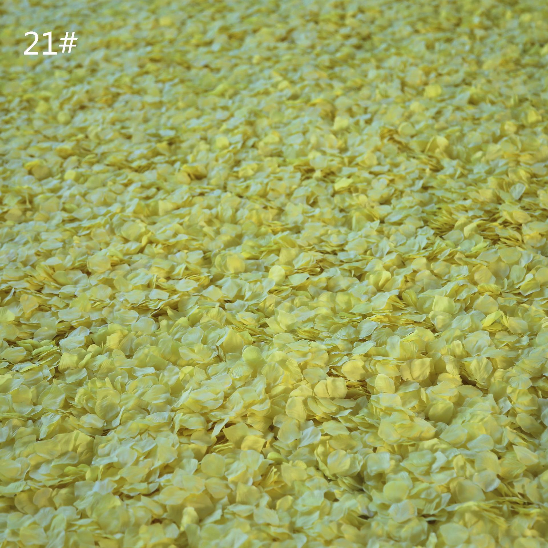 Room Layout Hand Throwing Flower Stage Sprinkling Flowers Petal Rain Small Broken Petals 300 Pieces Wedding Petal Room Layout Hand Throwing Flower Stage Sprinkling Flowers Petal Rain Small Broken Petals 300 Pieces Wedding Petal