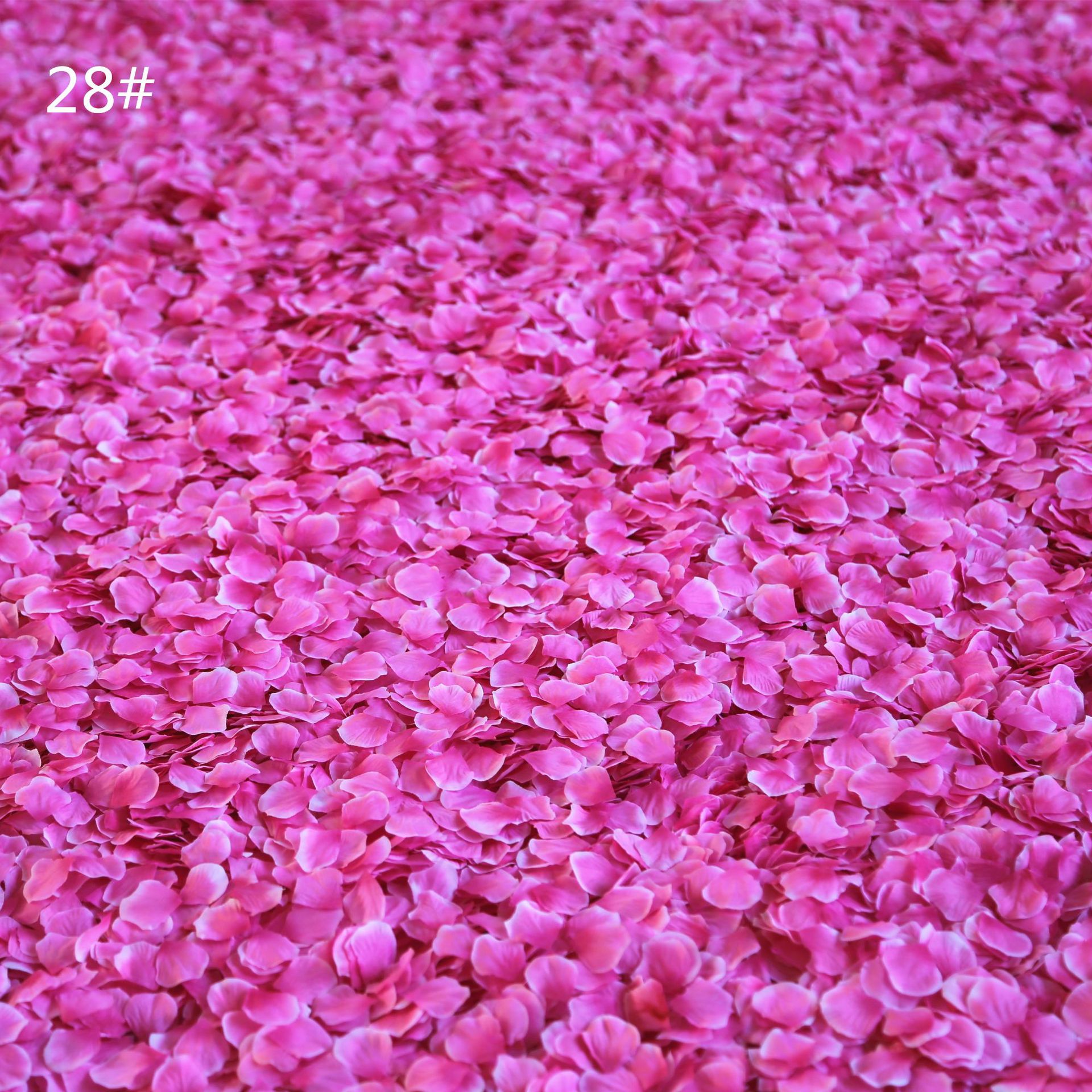 Room Layout Hand Throwing Flower Stage Sprinkling Flowers Petal Rain Small Broken Petals 300 Pieces Wedding Petal Room Layout Hand Throwing Flower Stage Sprinkling Flowers Petal Rain Small Broken Petals 300 Pieces Wedding Petal