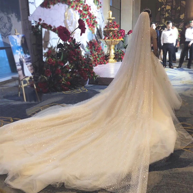 Tiktok Same Veil 2020 New Internet Celebrity Selfie Super Fairy Luxury Veil Bridal Wedding Trailing Shiny Veil
